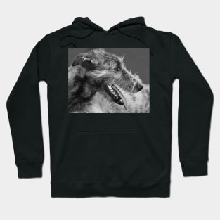 Irish Wolfhound Portrait Hoodie